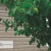 Сайдинг Ю-Пласт TIMBERBLOCK Пихта (Тимберблок) Cахалинская купить в Прокопьевске