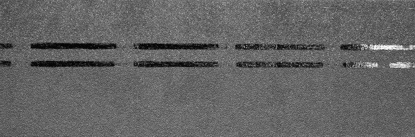 Коньково-карнизная черепица Docke Premium, черника купить в Прокопьевске