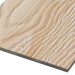 Фиброцементные панели FCSPRO Decor Wood Лиственница купить в Прокопьевске