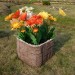 Цветник КАНЬОН купить в Прокопьевске