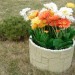 Цветник КАНЬОН купить в Прокопьевске
